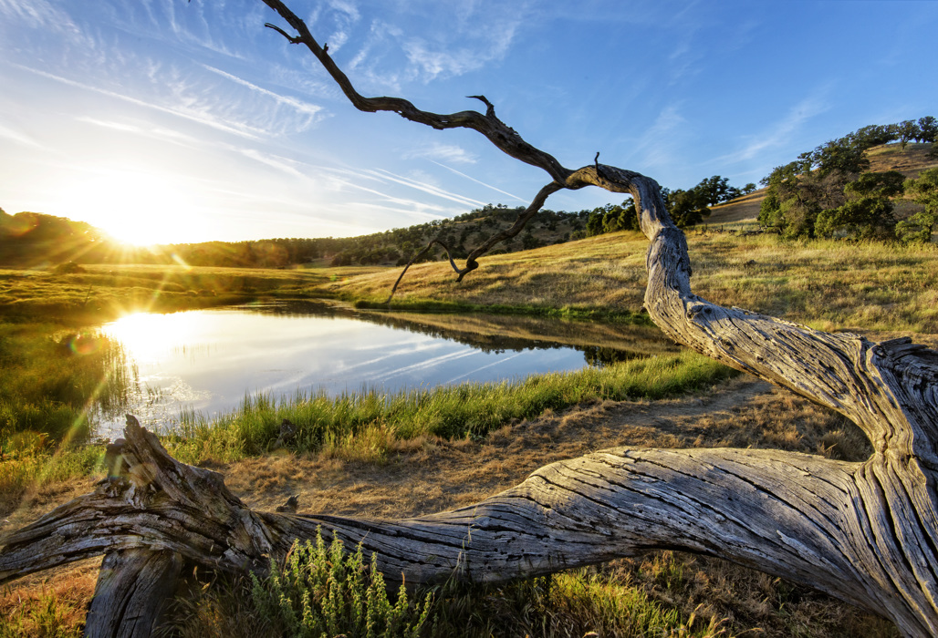 Sutter Buttes SP