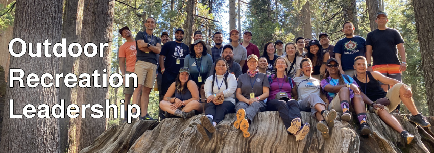 Group of adults sitting on a tree stump