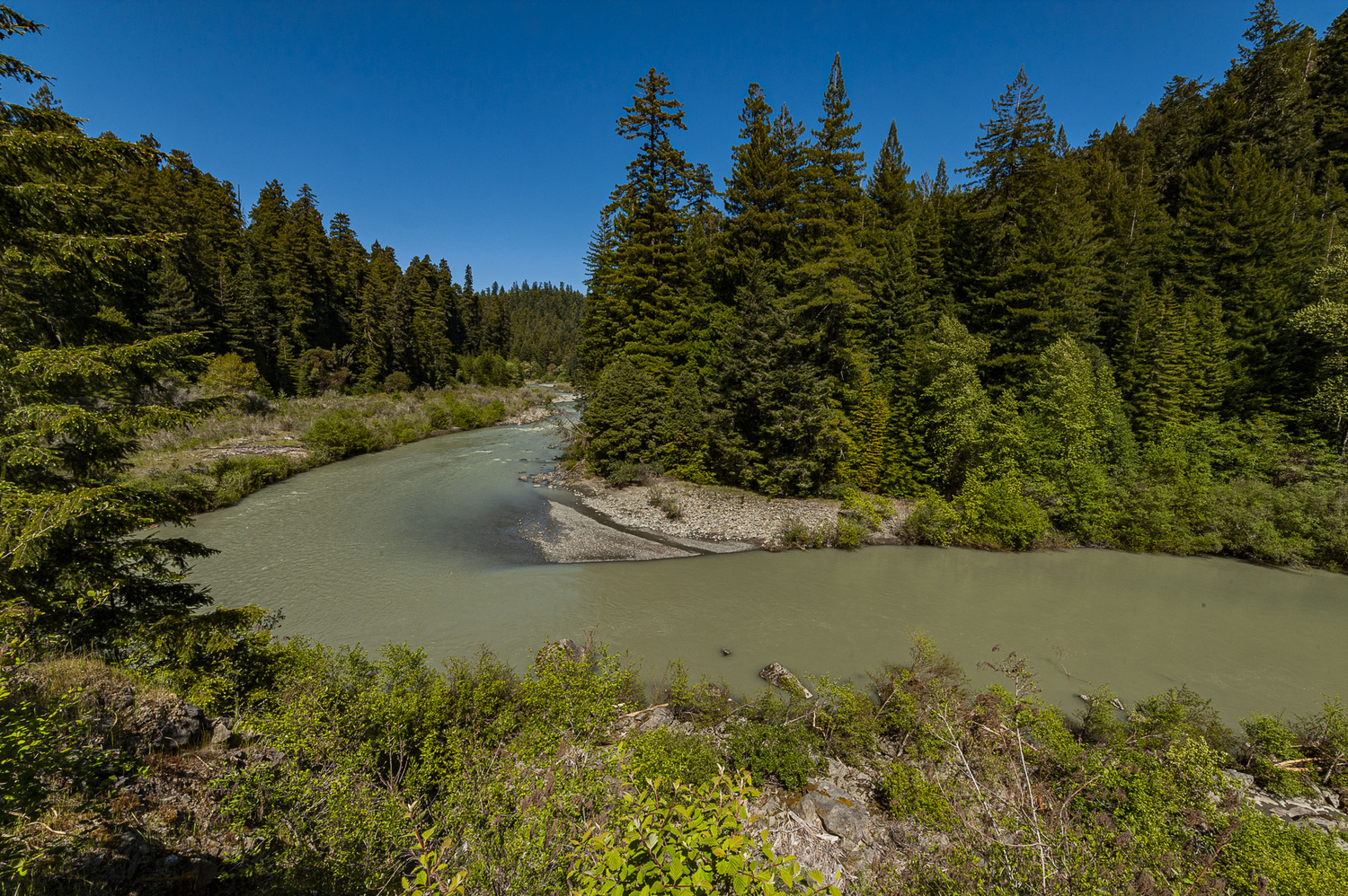 Grizzly Creek Redwoods SP