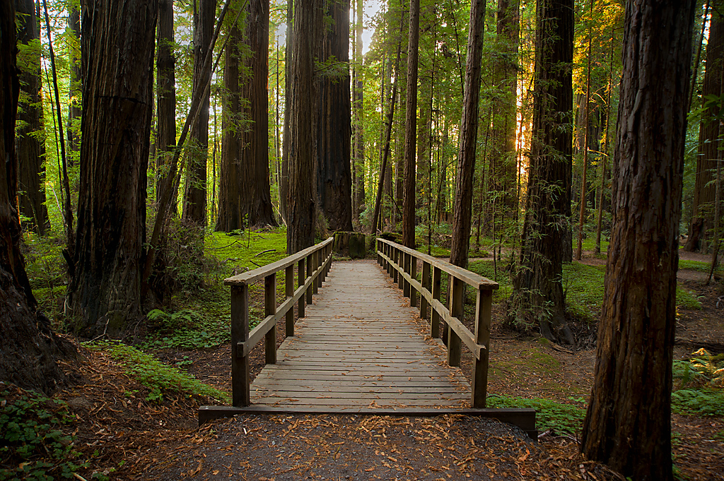 Hendy Woods SP