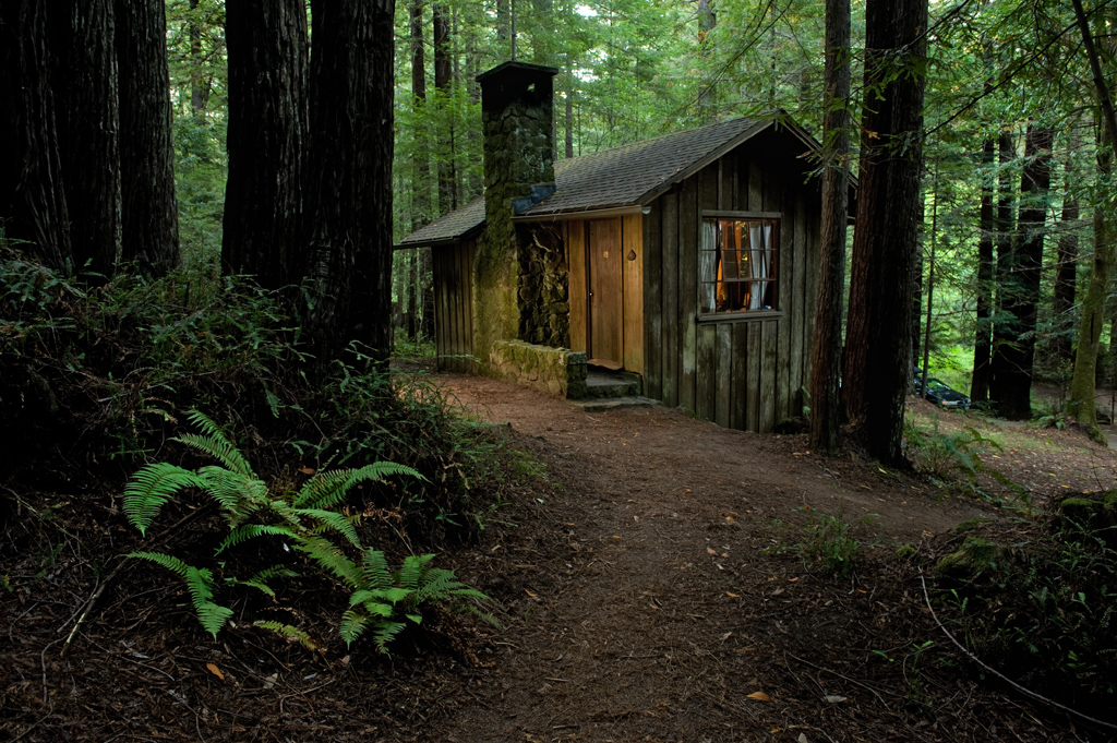 Mendocino Woodlands SP