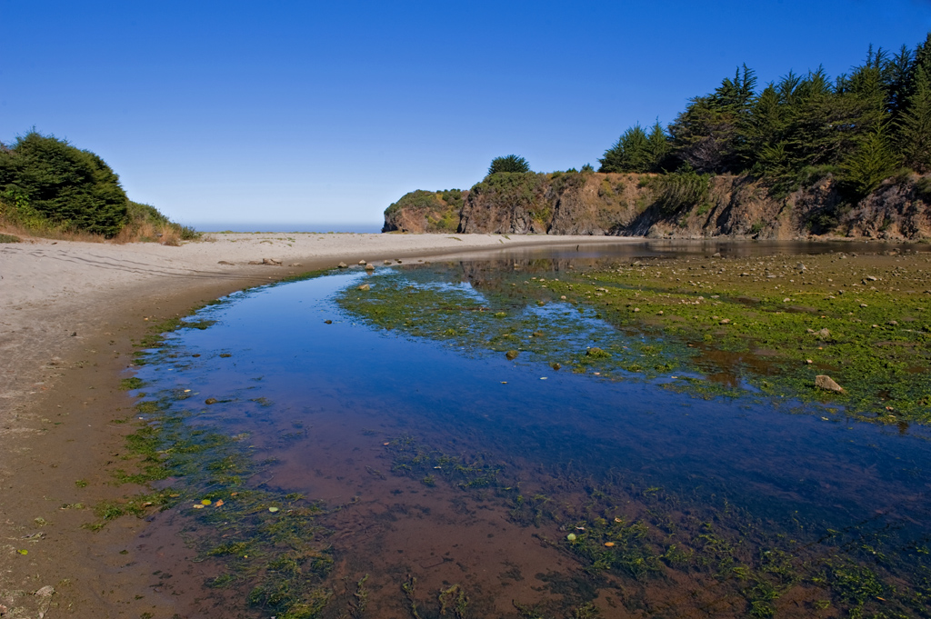 Caspar Headlands SB