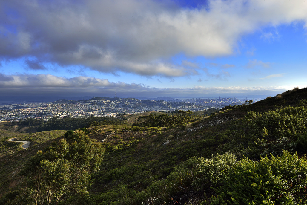 San Bruno Mountain SP