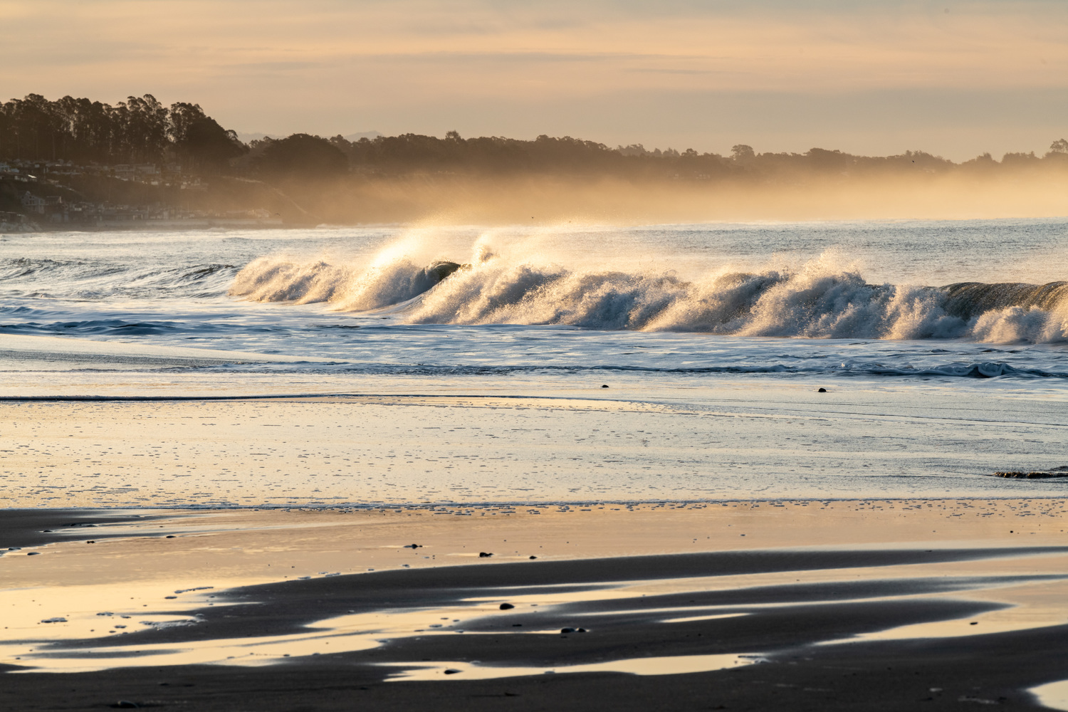 Seacliff SB