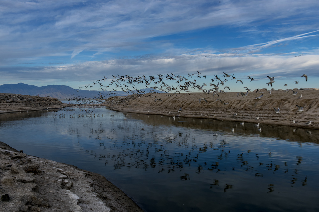 Salton Sea SRA